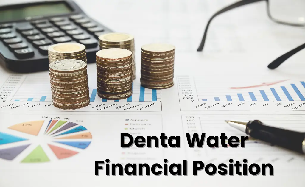 Denta Water Financial Position